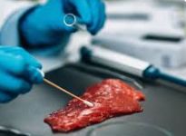 Alerta por nueva bacteria